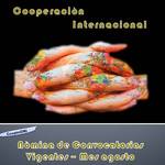 Convocatorias_c.i._agosto_18