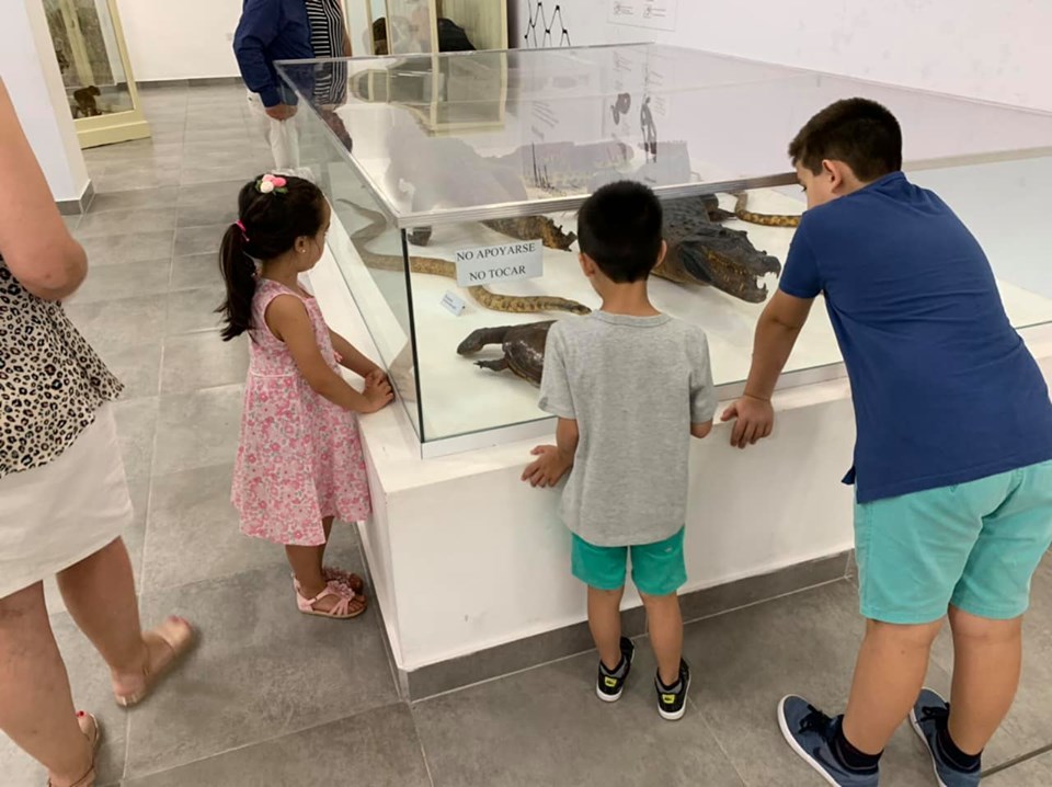 Noche_de_los_museos-_museo_de_ciencias_naturales