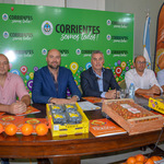 Fiesta_de_la_naranja_06-11-19_1