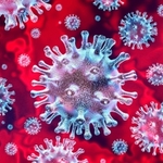 Coronavirus1