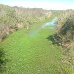 Arroyo_huajo4_pde_la_p