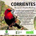 Wrsh-iber%c3%a1