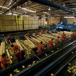 Industria_zeni-ctes