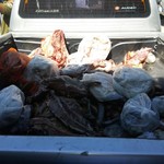 Decomisaron_carne_(2)